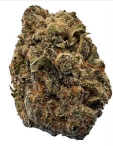BC Purple Kush (28g)
