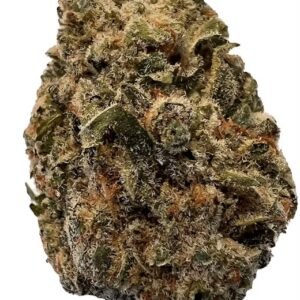 BC Purple Kush (28g)