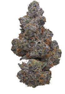 Apple Fritter (7g)