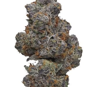 Apple Fritter (7g)