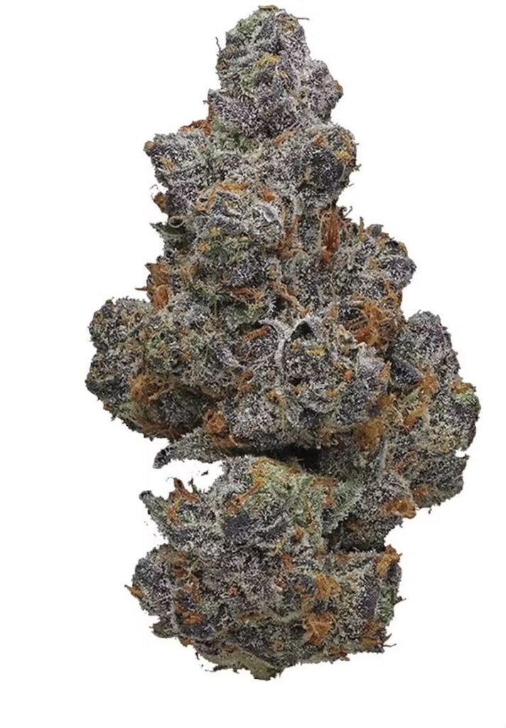 Apple Fritter (7g)