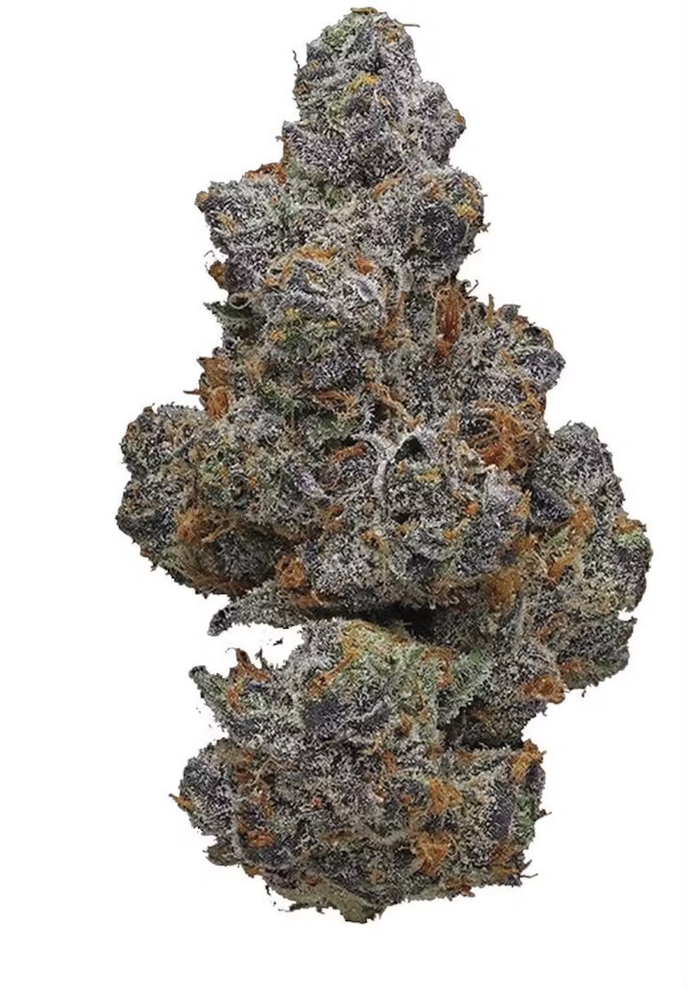 Apple Fritter (7g)