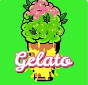 Gelato 41 10g