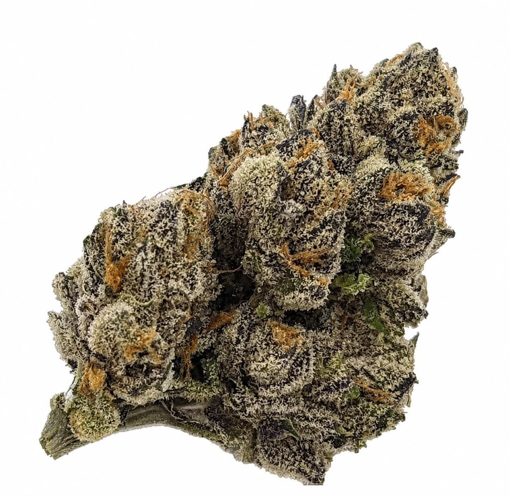 10 G's (5g)